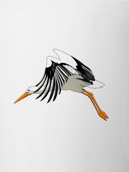 Stork