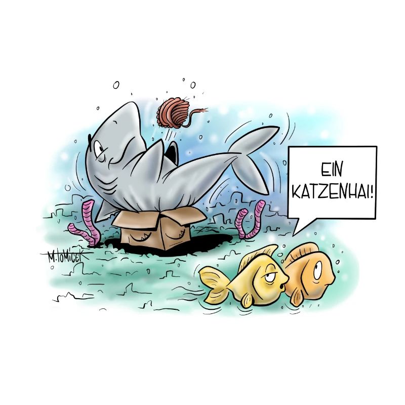 Katzenhai