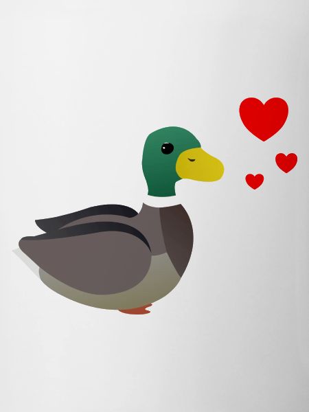 Duck Valentine's Day