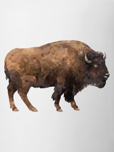 Bison