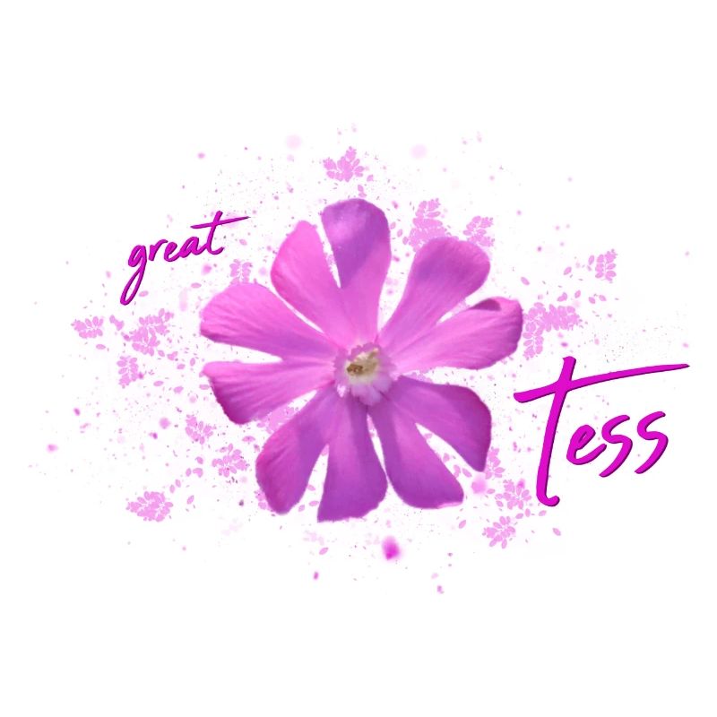 Tess Anniversaire Tess