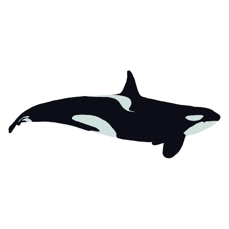 Killer whale