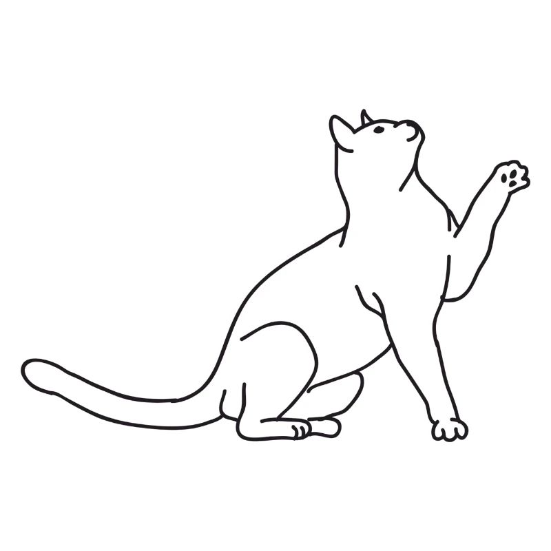 Katze