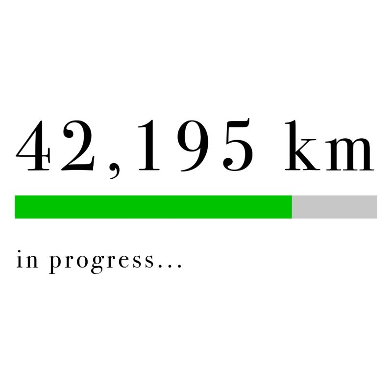 42,195 km in progress