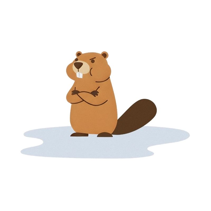 Frecher Biber à Pfütze / Castor dans la flaque