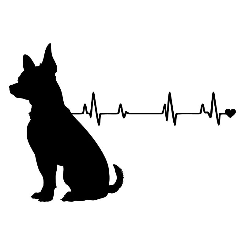 Chien