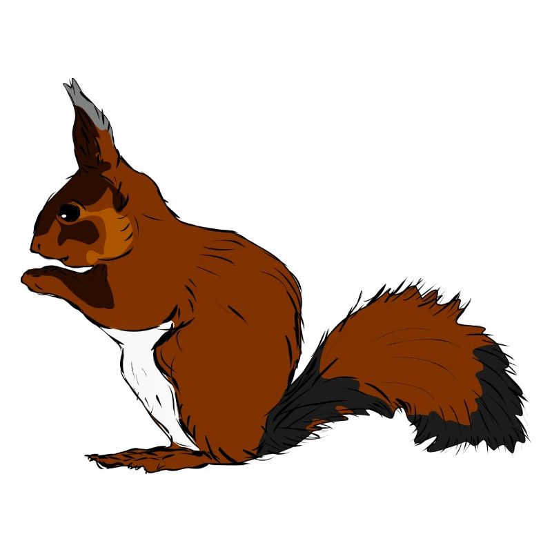 squirrel28