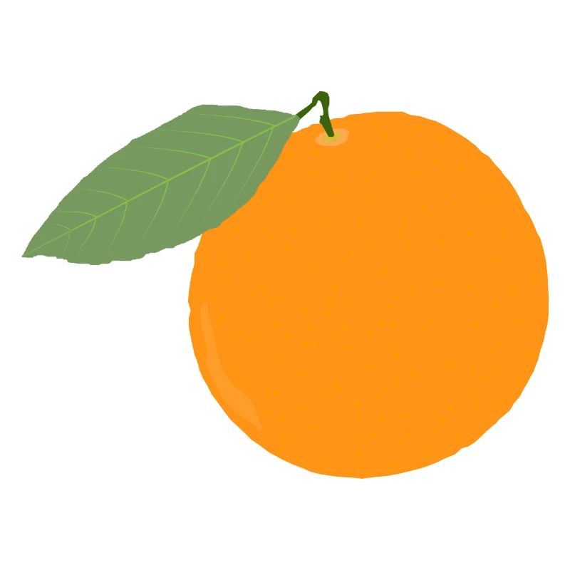 Orange Frucht Obst Geschenk Geschenkidee