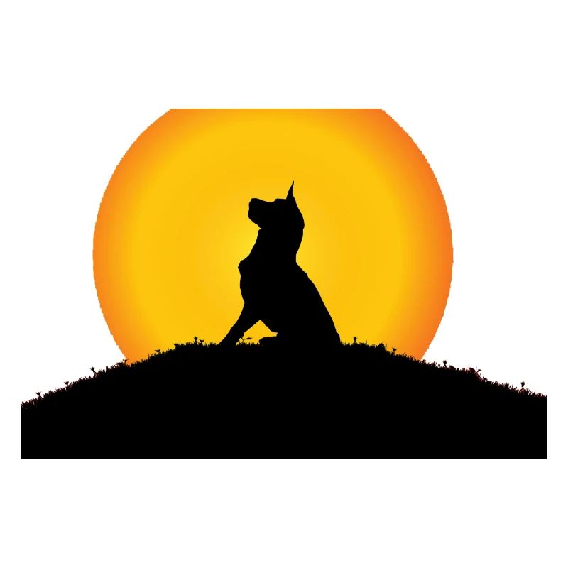 Ein Hund in der Sonne