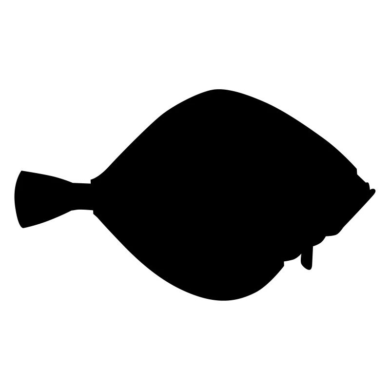 Fisch Flunder