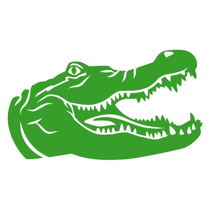 Crocodile