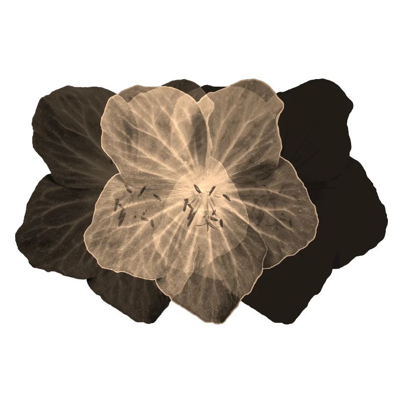 POUVOIR DES FLEURS