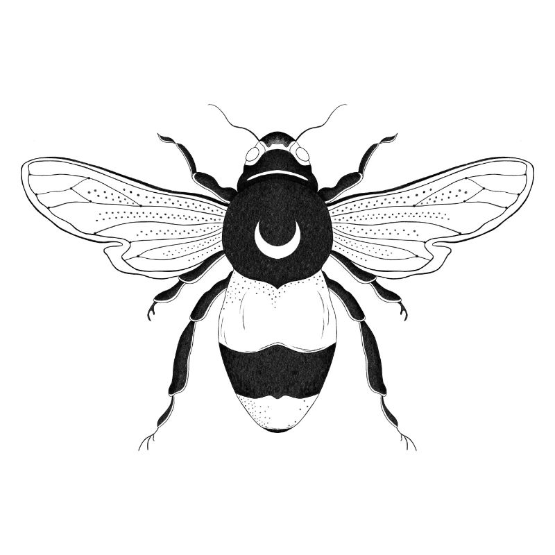 Moon bee