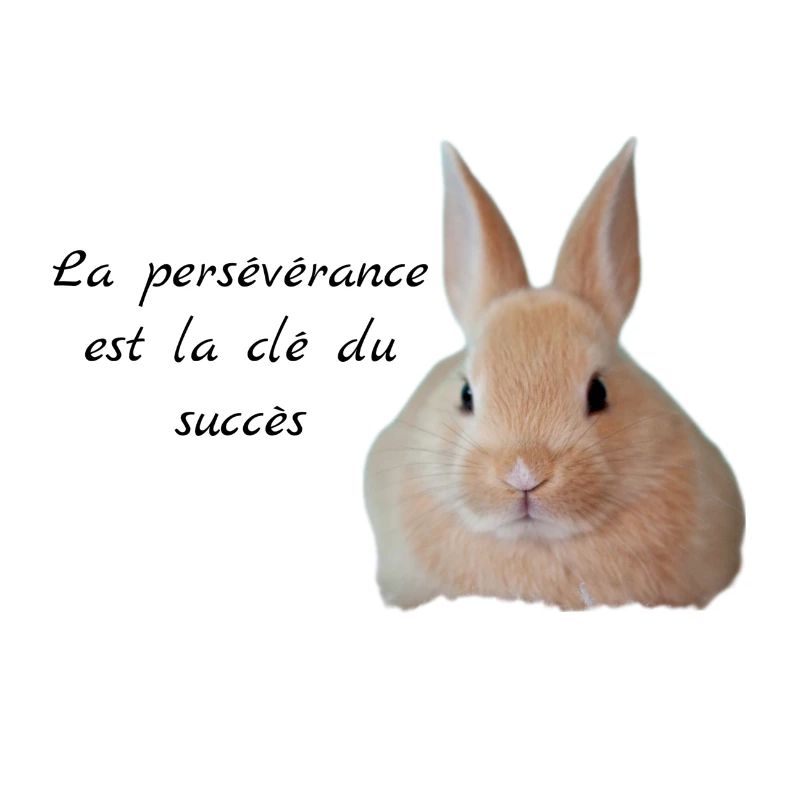 Lapin , La persévérance Chez