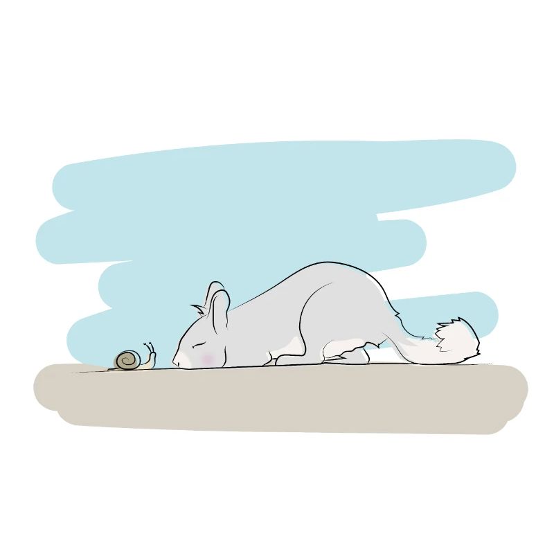 Illustrated design with Viscacha