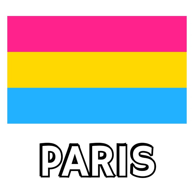 Pan Pride Drapeau Paris
