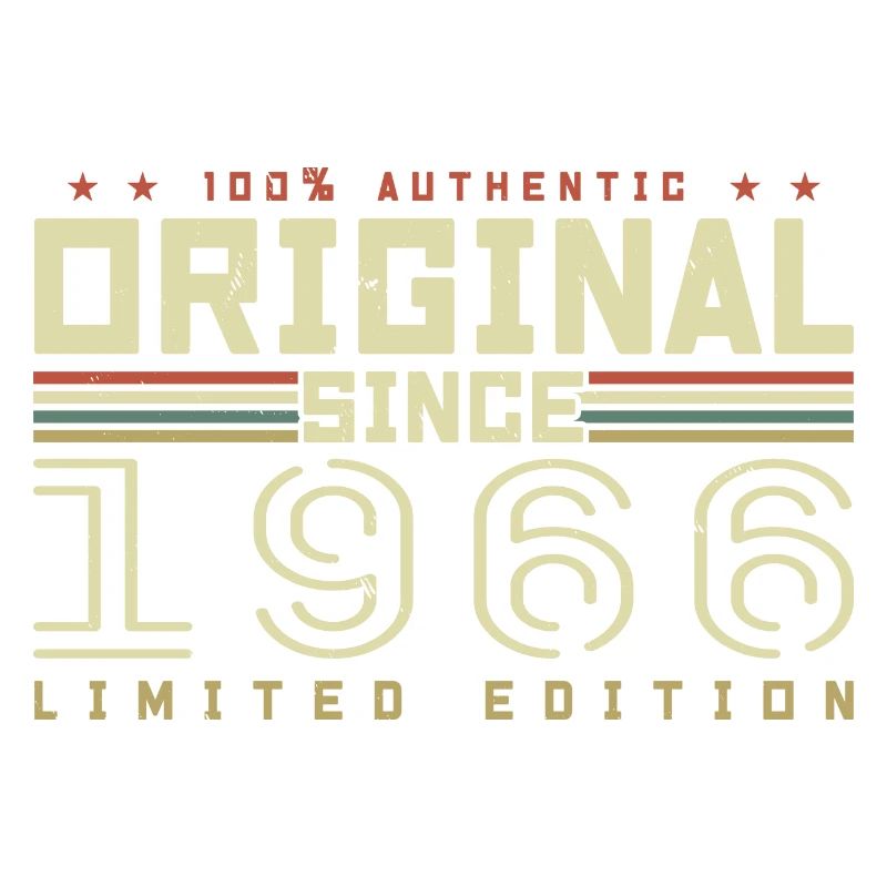 Original 1966 Retro 1966 Birthday Gift 1966
