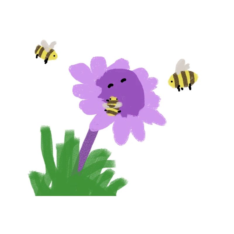 Bee fig