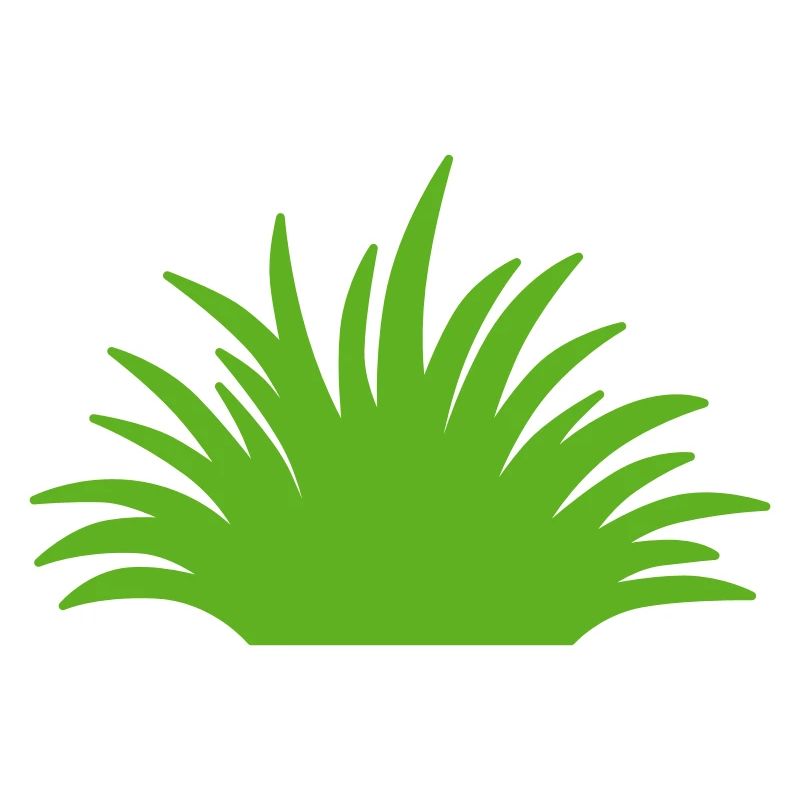 Herbe