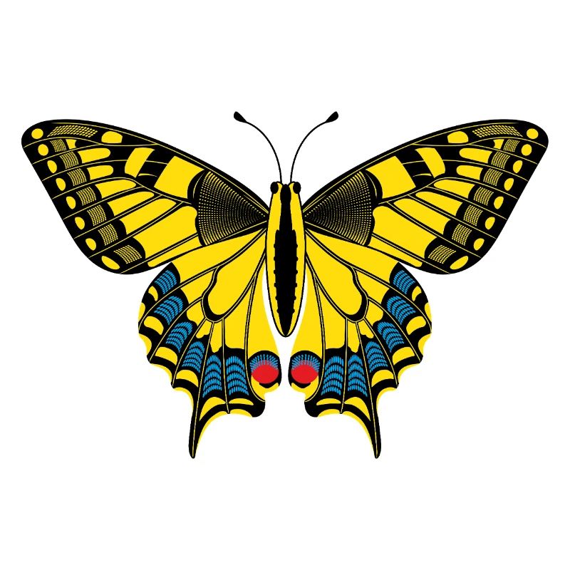 Schmetterling – Papillon