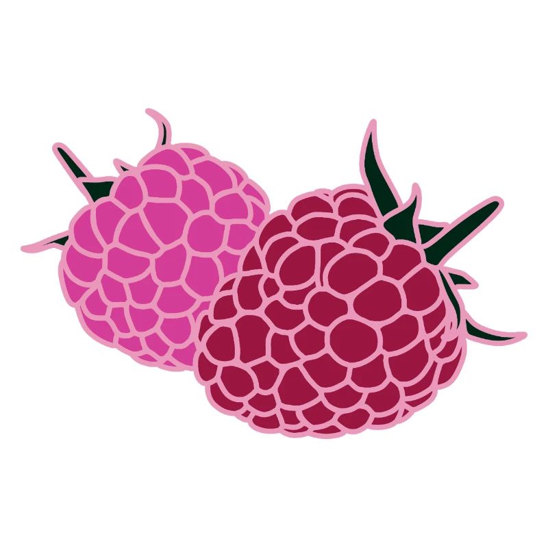 Raspberry Duo Pop Art