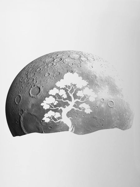 Bonsai Baum Mond