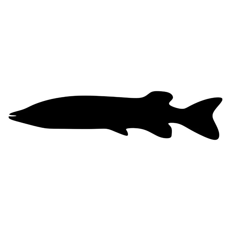 fish112