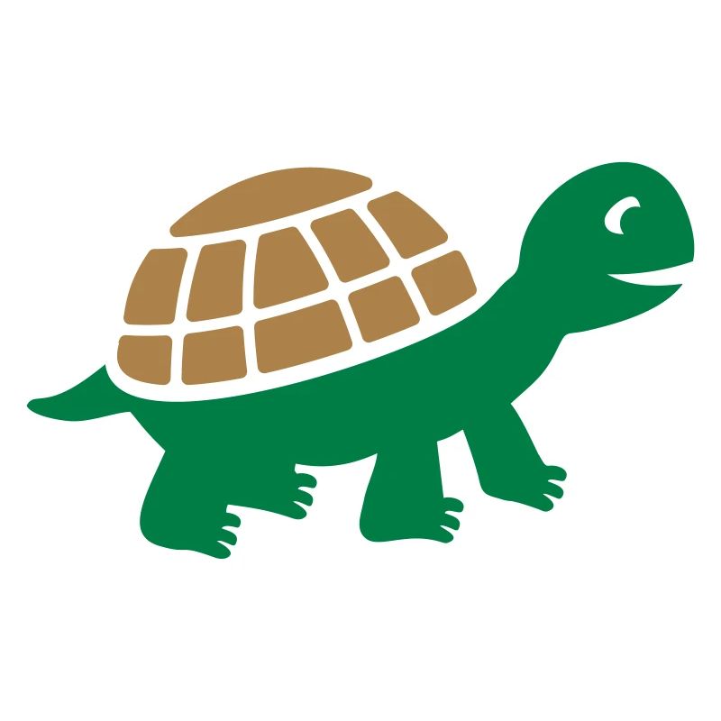 Cute turtle gift