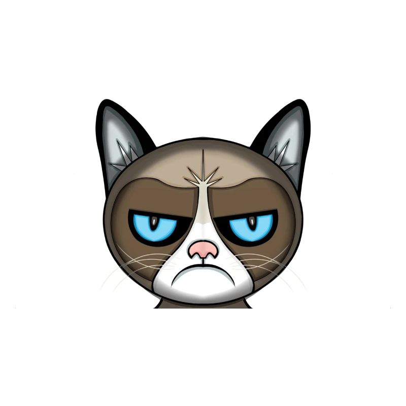 chat en colère
