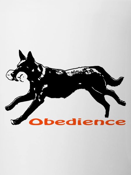 Obédience Kelpie