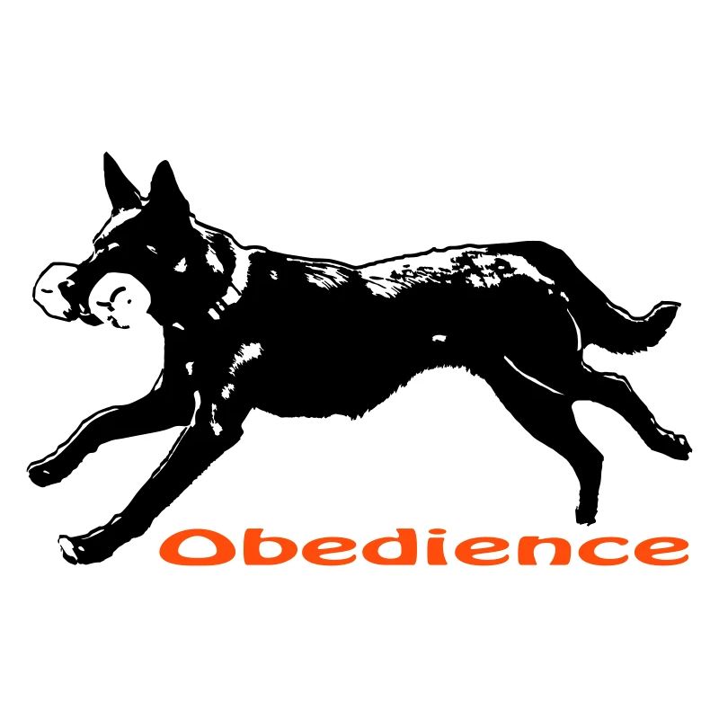 Obédience Kelpie
