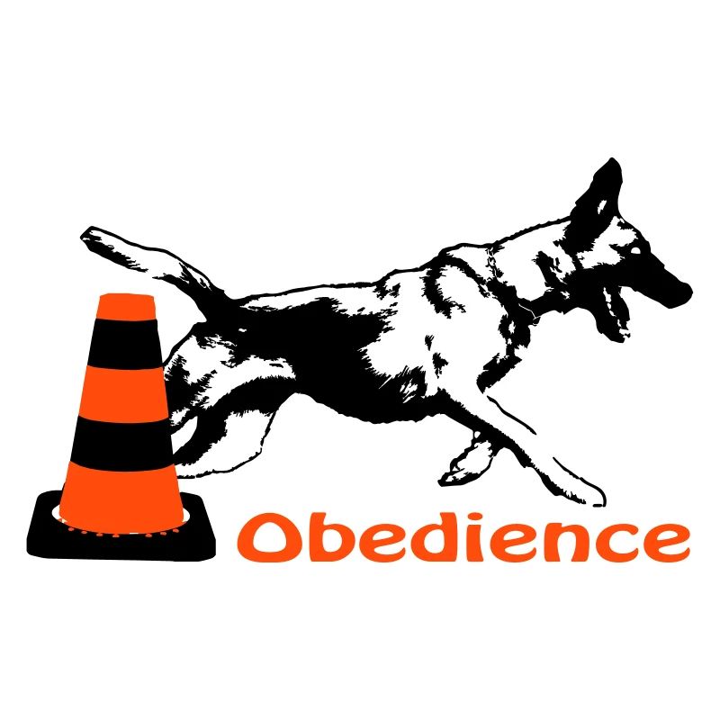 Obedience Malinois circles pylon