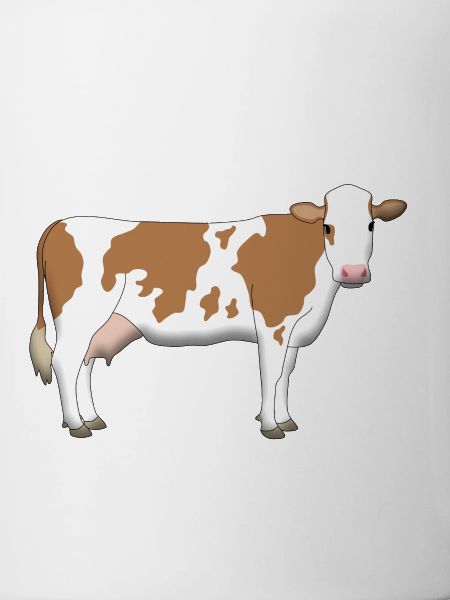 Cow 2