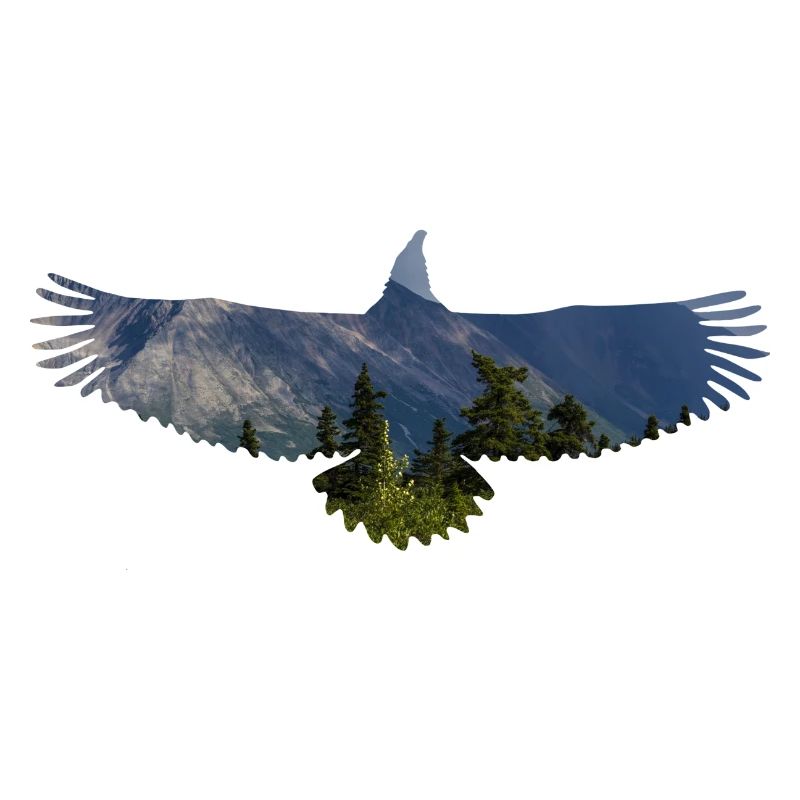 Adler