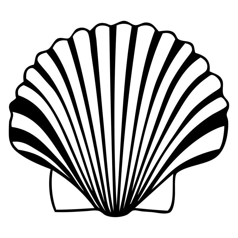great scallop shell shell of the Compostela paths
