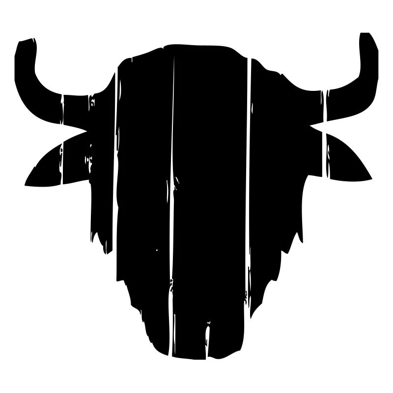Vintage Buffalo Skull