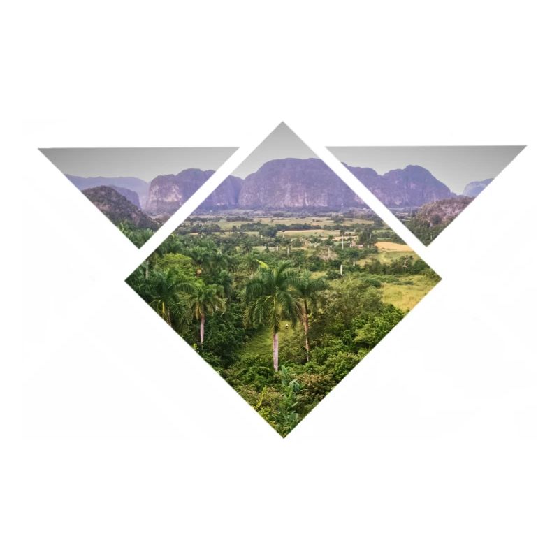 Triangular Steppe