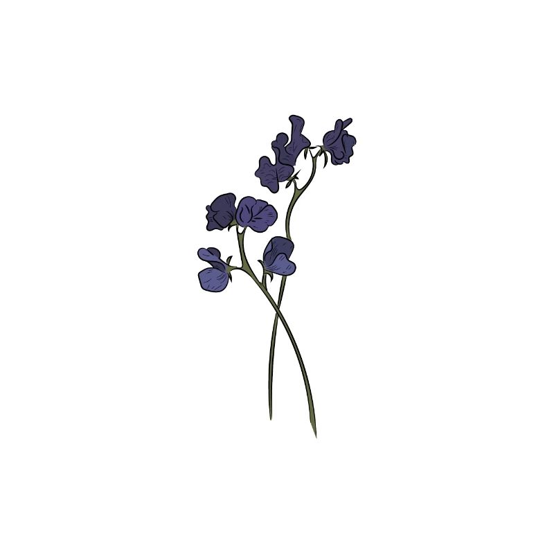 Fleurs, nature, bio, violettes