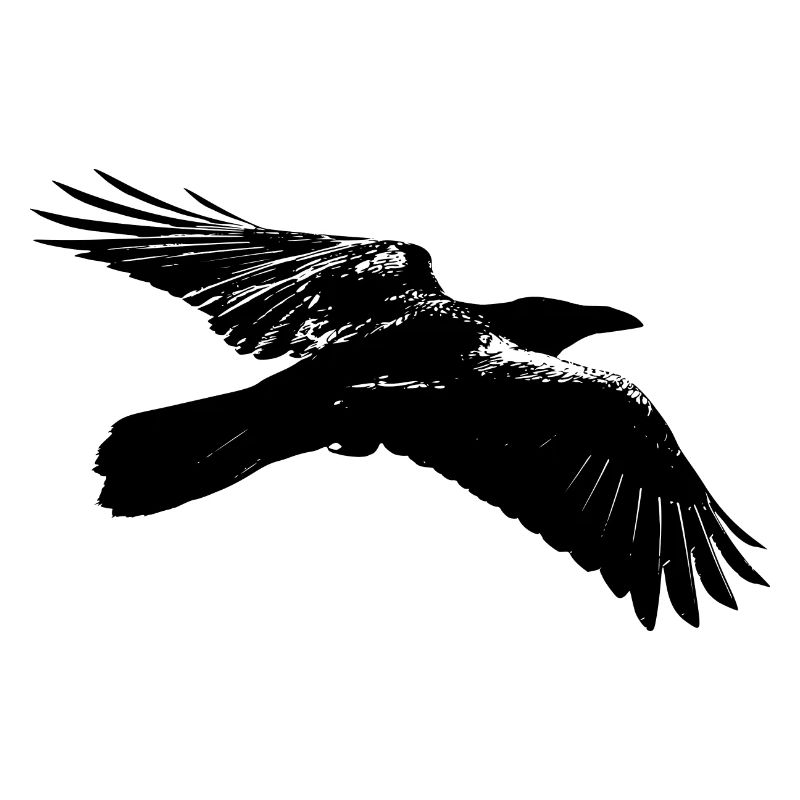 Raven