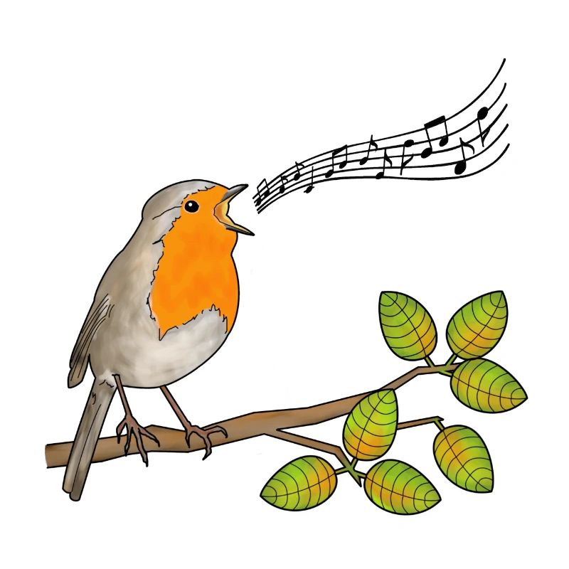 Robin chantant, notes de musique
