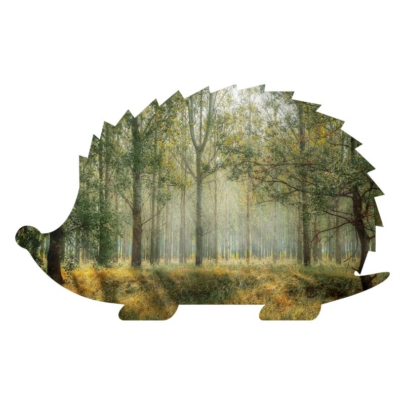 forêt 9 hérisson avec forêt