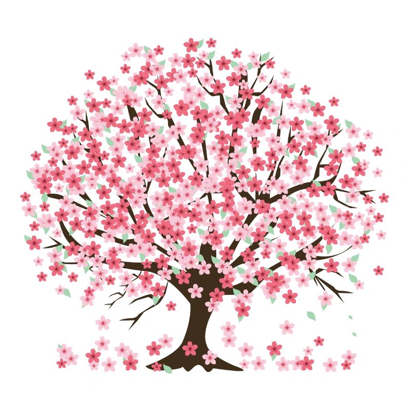 Cherry Blossom tree and petals