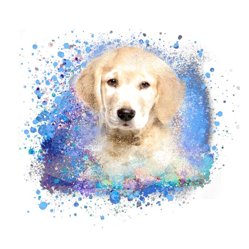 Labrador,Hund, Illustration,welpe,golden retriever