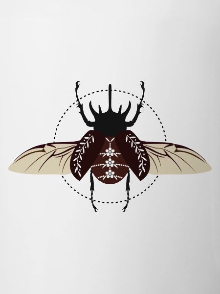 beetles