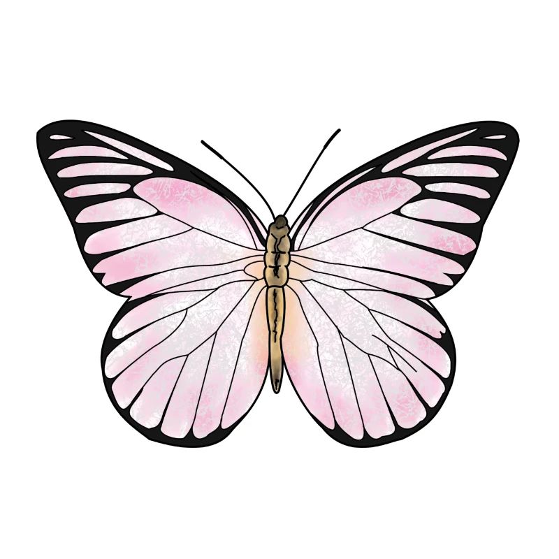 Papillon, rose