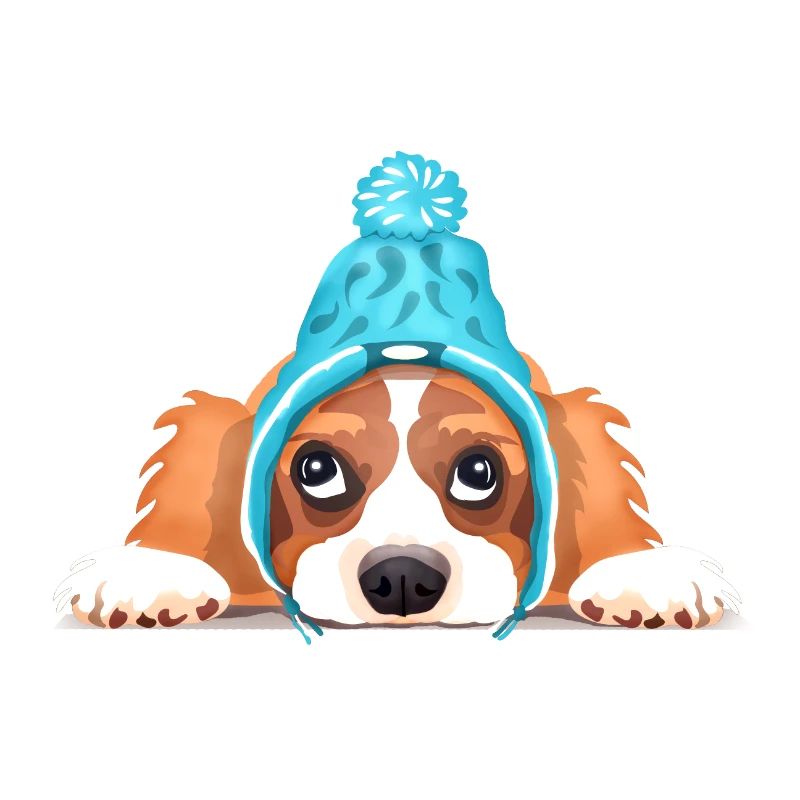 Cavalier King Charles au bonnet bleu