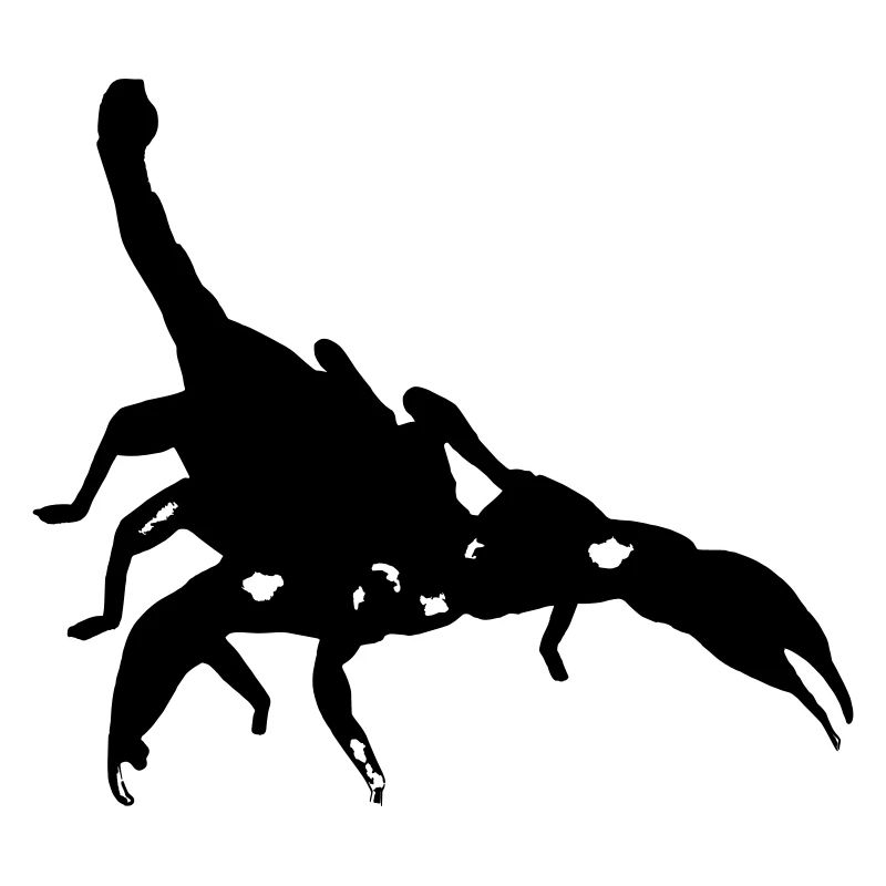 Scorpio Scorpio poisonous Spiny Arachnid Animal