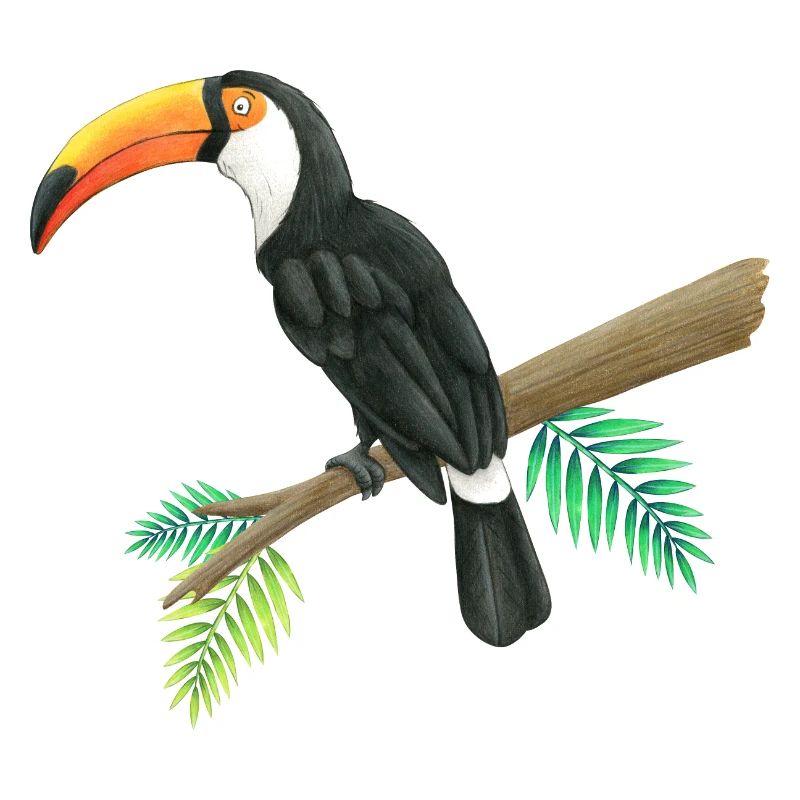 Tukan