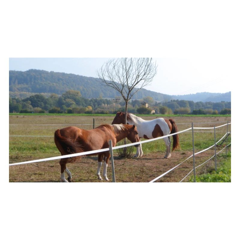 Chevaux