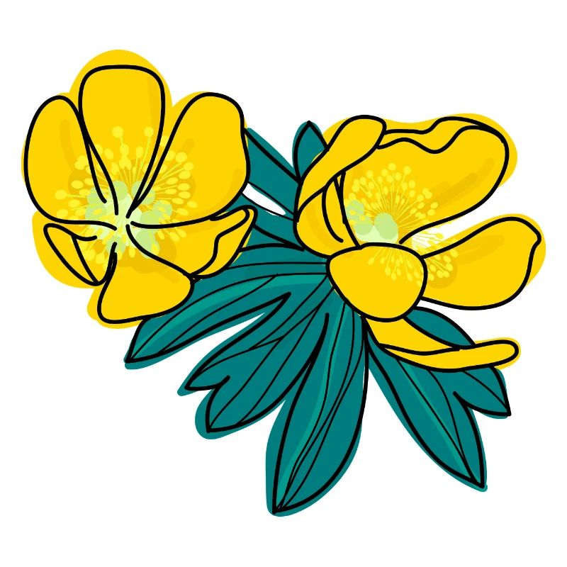 Winter Aconite